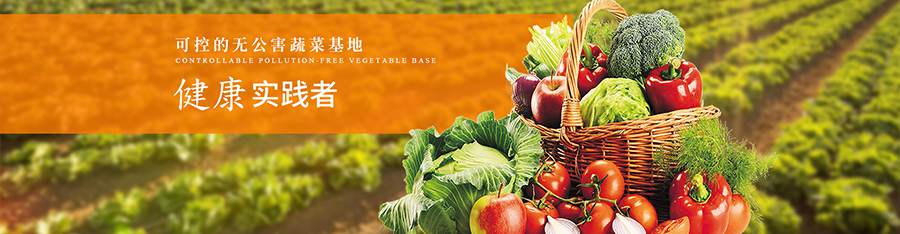 企業食堂蔬菜配送,單位食堂蔬菜配送,學校食堂蔬菜配送,醫院食堂蔬菜配送,園區工地食堂蔬菜配送,寫字樓食堂蔬菜配送,園區食堂蔬菜配送,工地食堂蔬菜配送,養老院食堂蔬菜配送,監獄食堂蔬菜配送